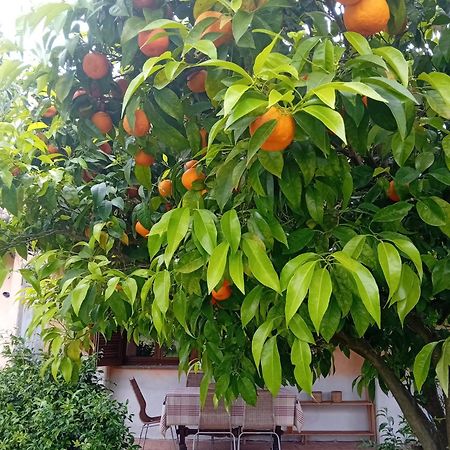 منزل الضيف فليتري  في Casa Pratolungo المظهر الخارجي الصورة